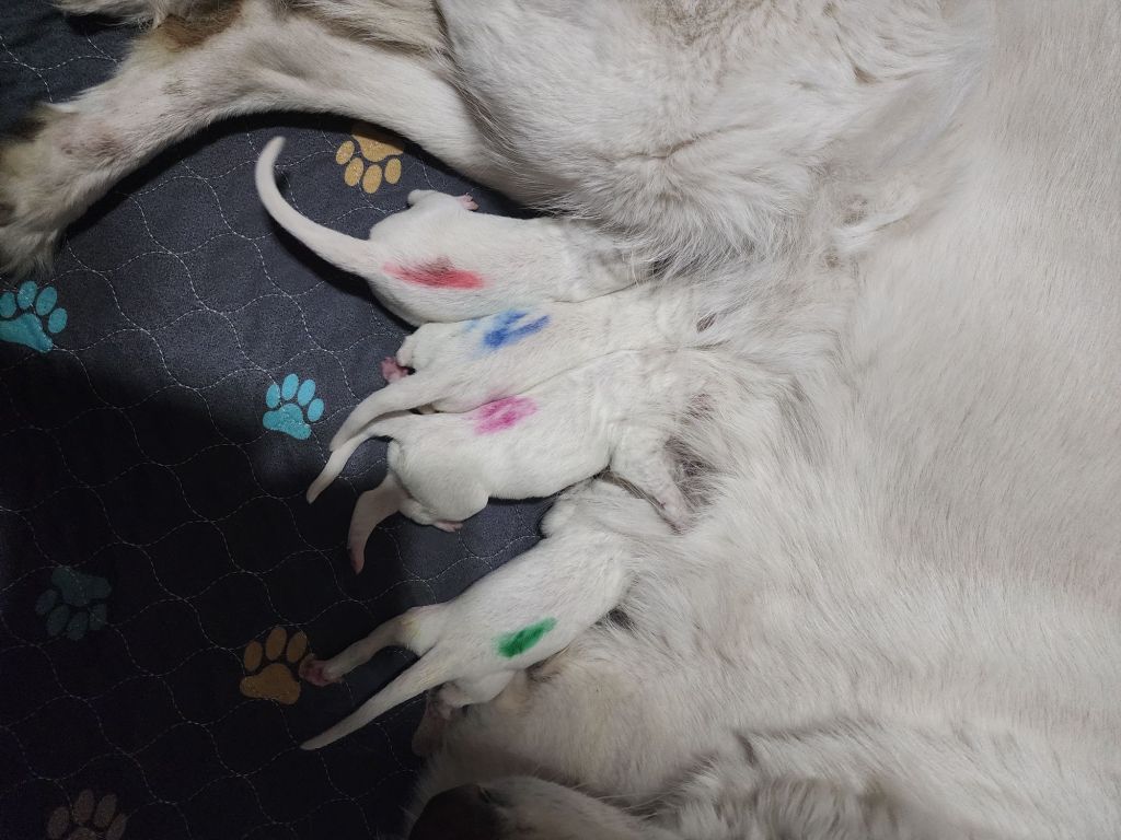 20260309_1133293898515265284186682